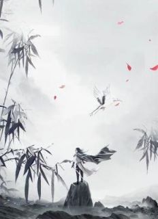 仙圈师妹