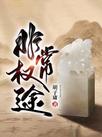 巅峰仕途：权力之门