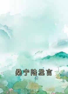 桑宁陆丞言