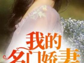《我的名门娇妻》by上善若水小说完结版在线阅读