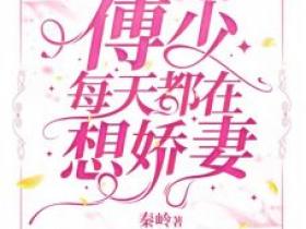 《闪婚后，傅少每天都在想娇妻》by秦岭免费阅读小说大结局