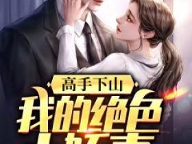 高手下山：我的绝色小娇妻免费阅读全文，主角朱天何姜雨初小说完整版