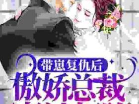 《带崽复仇后，傲娇总裁老被打脸》小说免费阅读 童安安苏惠大结局完整版