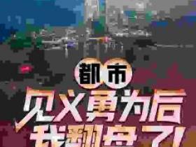 赵明杨皎月小说抖音热文《都市：见义勇为后，我翻盘了！》完结版