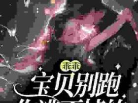 七七木有漆漆最新小说《乖乖宝贝别跑，你逃不掉的》司徒赫温雅雅在线试读